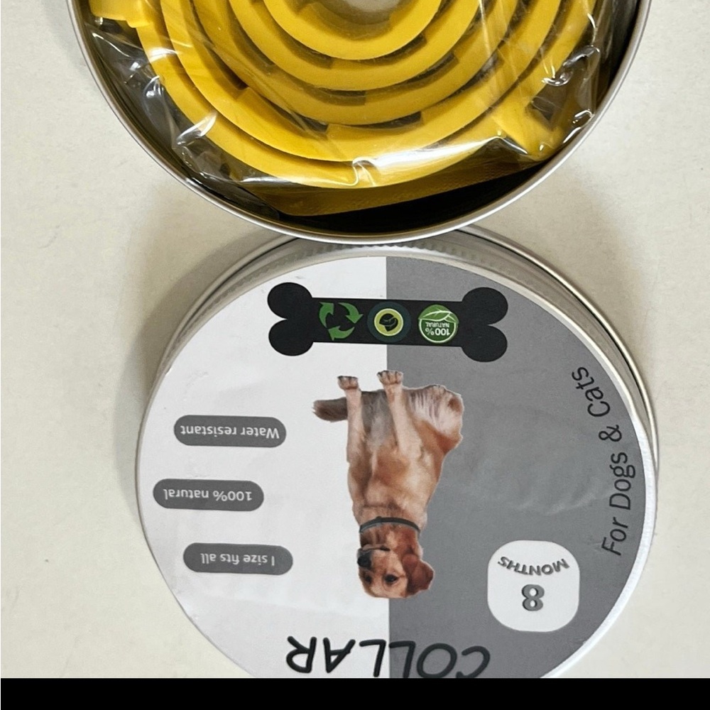 Yellow Dog Collar for Pets